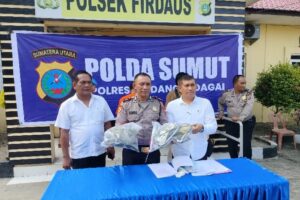 Polsek Firdaus Ungkap Tangkap Pelaku, Tewasnya IRT