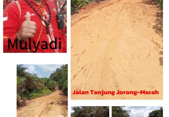 Jalan Tanjung Jorong Rusak Parah Pemerintah Seakan Tutup Mata