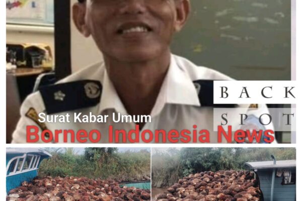 Kekisruhan Antara Warga Masyarakat Desa Sepok Laut Akibat Lahan Plasma 11Tahun Di Telantarkan Pak Kades Angkat Bicara