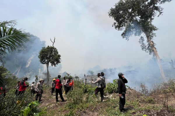 Kapolres Rohul AKBP Emil, bersama Perwira Polres Rohul Kompol S sinaga Ikut Padamkan Api ,Karhutla, di dua kecamatan.